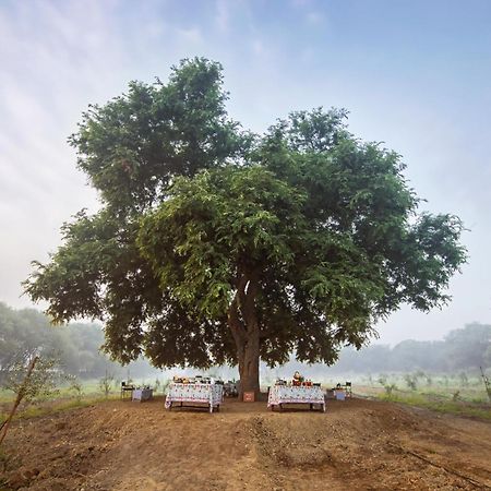 Mela Kothi - The Chambal Safari Lodge Bāh Eksteriør bilde