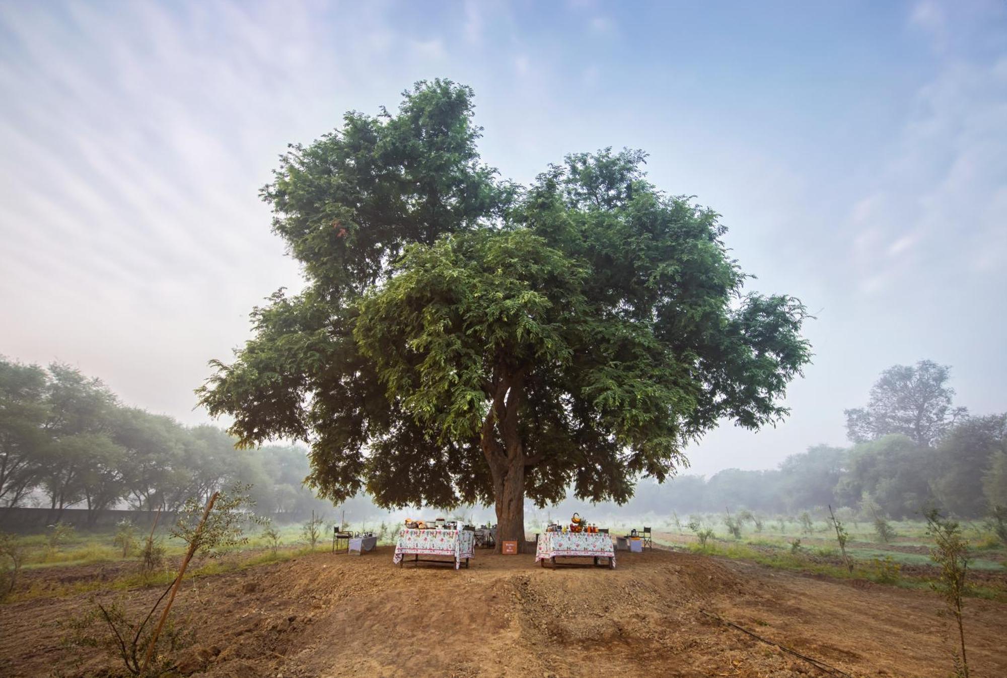 Mela Kothi - The Chambal Safari Lodge Bāh Eksteriør bilde