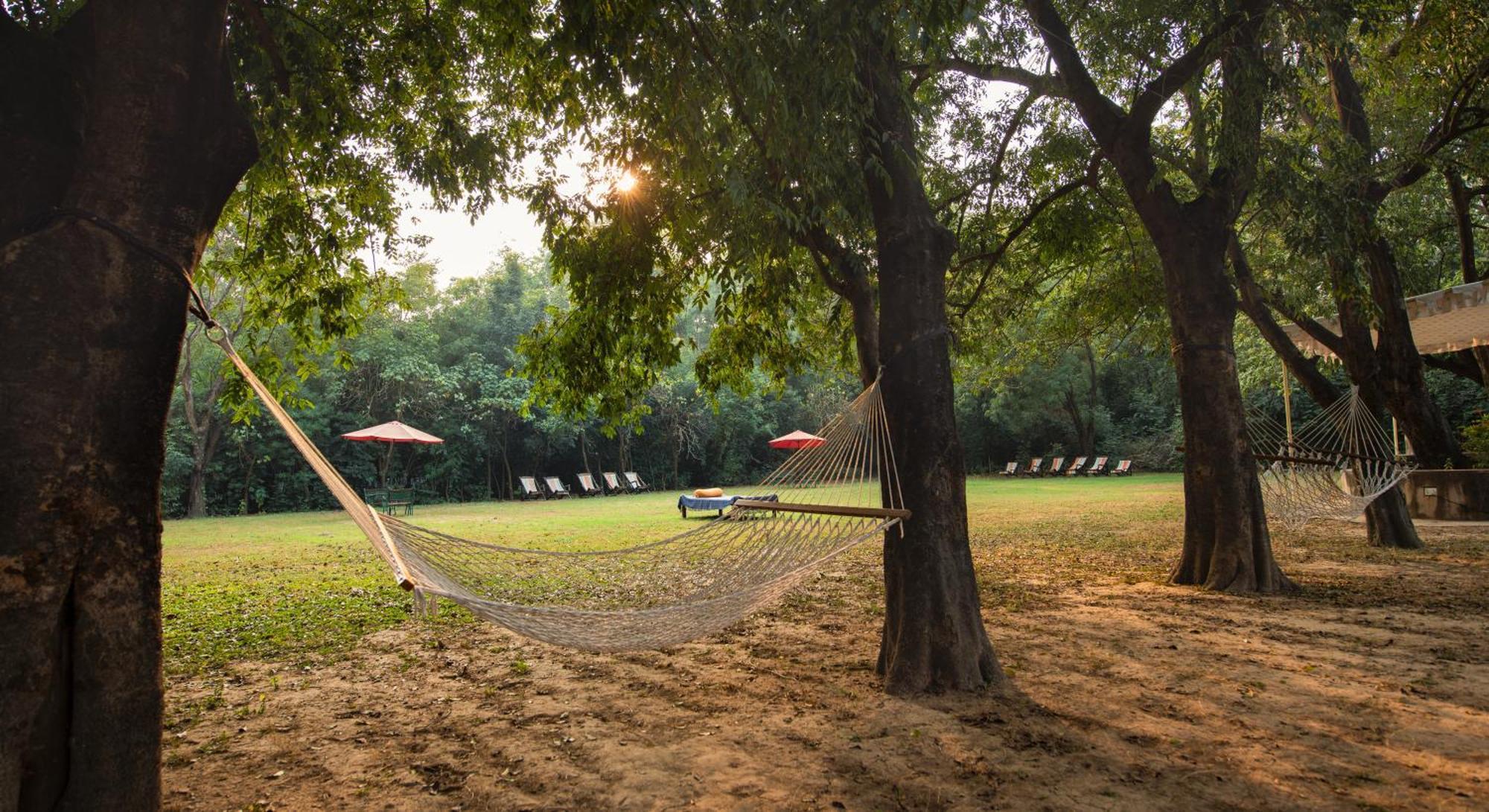 Mela Kothi - The Chambal Safari Lodge Bāh Eksteriør bilde
